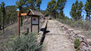 2022-03-GranCan-Mirador_Sargento-Trekking-PM-NN-10.JPG